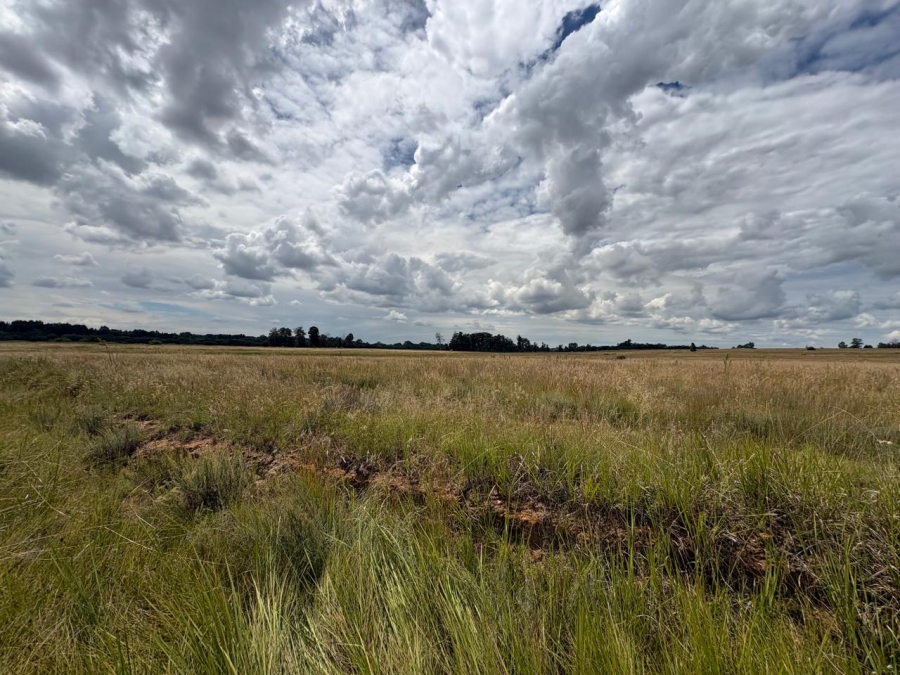 0 Bedroom Property for Sale in Vaalpark Free State